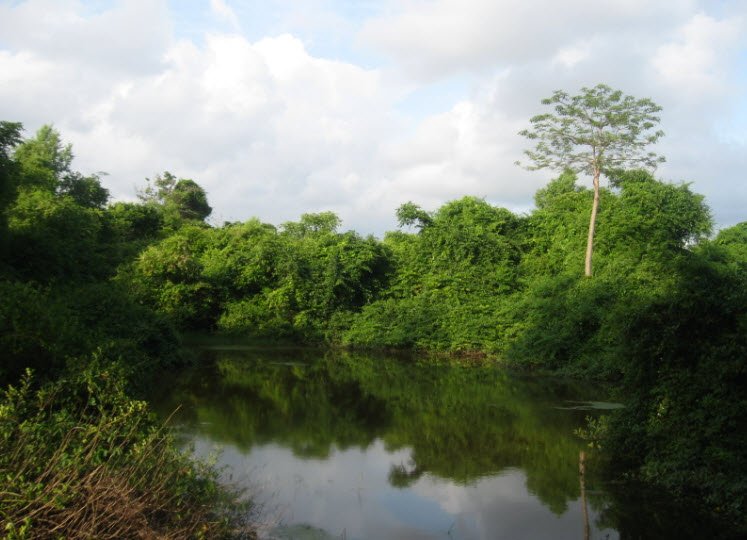 William Fort, Chettuva, Kerala, India